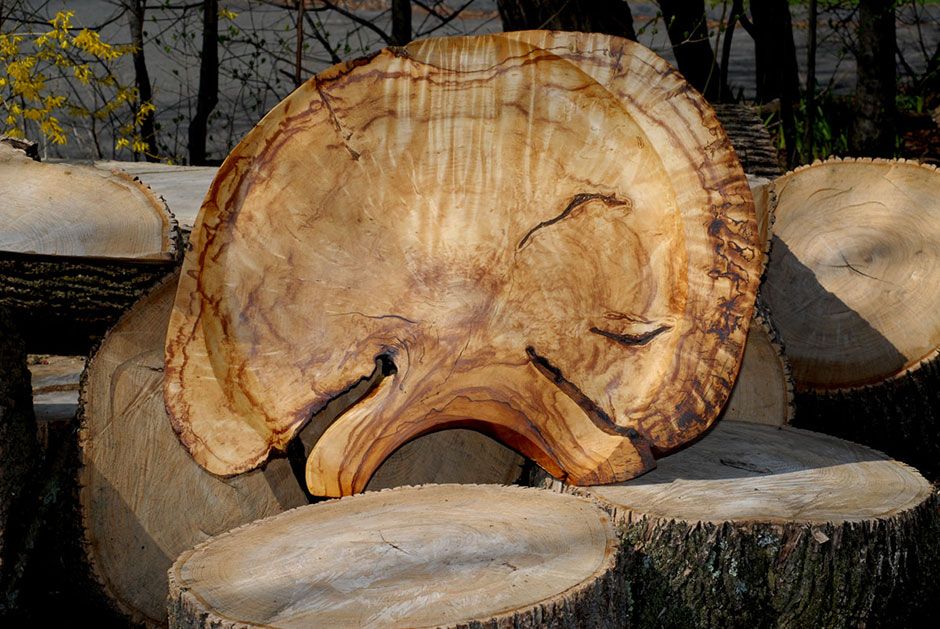 Native Maine birch burl tray 40” diameter, front surface