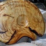 Native Maine birch burl tray, undersurface