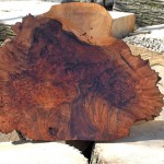 American claro walnut burl platter 30” diameter