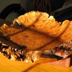 Maple burl platter 24” diameter