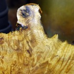 Close-up of maple burl grain